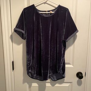 Blue Velvet Top L